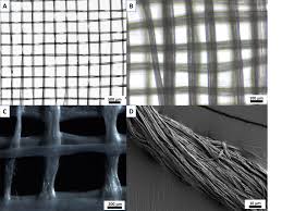Check spelling or type a new query. Sub Sessions Ix Sy15 3d Structures In Tissue Engineering And Disease Modelling Iv Sy7 Adaptive Functional Biomaterials Ix Os31 Additive Manufacturing 1 X Os36 Additive Manufacturing 2 Vi Os20 Alginate And Biopolymers Vii Os26