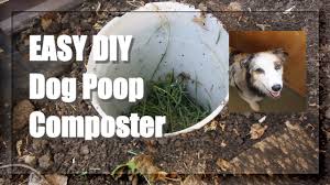 Just bury the dog waste disposal system on the ground a good instead, our system considers things like how recent a review is and if the reviewer bought the item on amazon. Diy Dog Poop Composter Youtube