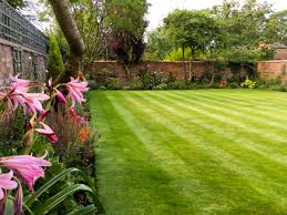 We are green thumb lawn care and we've been locally owned and operated for over 35 years. Greenthumb Lawn Treatment Service Pa Twitter An Exquisite Traditional English Garden With A Striped Greenthumb Lawn Lovegreenthumb Greenthumb Lawncare Stripedlawn Showusyourstripes Https T Co Qes7oezwnv