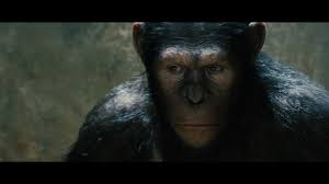 Ships from and sold by m + l. Planet Der Affen Prevolution Trailer 1 Full Hd Deutsch German Youtube