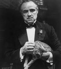 The Godfather The Cat Held In The Opening Scene Of The Godfather Was Actually A Stray That Marlon Brando Foun The Godfather Marlon Brando The Godfather Poster