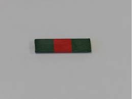 Ribbon National Special Forces Association