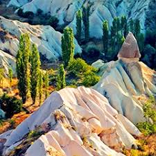 白熊云盘--骗子云，跑路盘！→小鱼儿yr系统