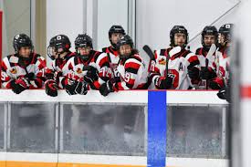 2024 U18 Aaa All-Stars: Graduating Class – Gthl