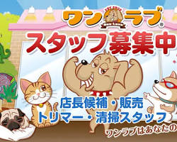 ペットショップワンラブの画像