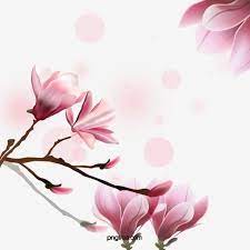 ألوان مائية الزهور خلفية الصورة الزهور المائية صور الزهور صورة png وملف psd للتحميل مجانا flower background images watercolor flower background flower backgrounds