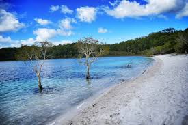 Top 20 Of The Most Beautiful Places To Visit In Australia Boutique Travel Blog Explore the untapped attraction of lost world of waitomo. top 20 of the most beautiful places to