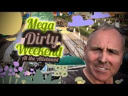 Pauls Patch #myallotment