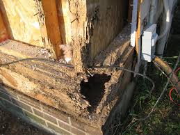 Trade approved 24 hour emergency services for residential & commercial premises. Arrowhead Ozonas Nepaprastas Termite Damage Repair Hundepension Bayreuth Com