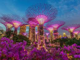 The World S Most Expensive Place To Live Has Something Else Going For It It S The Healthiest Country Singapore Garden Singapore Attractions Gardens By The Bay