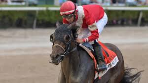 The Pressbox's" Feel Good Photo of the Day: Lori Hebel-Osborne & Diamond  Solitaire