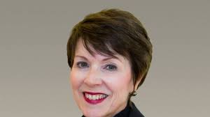 Will developers flock to build huge Peninsula senior/wellness complex?