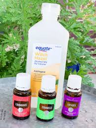 How to make natural insect repellent with essential oils. Diy All Natural Insect Spray Recipe Perfect For Summer