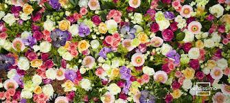 There are a variety of species of roses , but all can produce showy flowers. The Most Beautiful Flowers In The World Verdissimo
