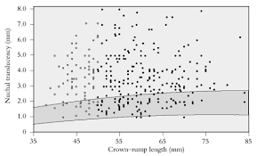 Nuchal translucency ultrasound alone can also provide this risk assessment, but it is not as accurate as combined first trimester screening. The 11 14 Week Scan Chapter 1