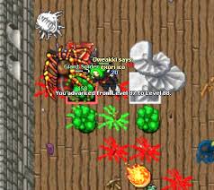 Lo del seo negativo es una broma. Tibia El Mejor Juego Online Del Mundo Ricardomello Steem Goldvoice Club
