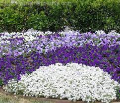 Pin De Tamela Sutler En Flowers 1 Jardines Jardines Hermosos Flores