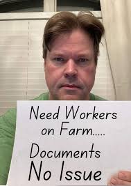 Chicken Catcher Job Opportunity in Mareeba, Far North QLD