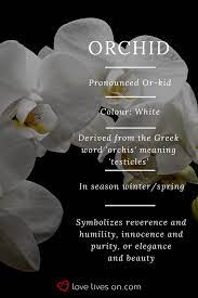 Sign up for 10% off. 10 Best Funeral Flowers Orchid Meaning Flower Meanings Funeral Flowers