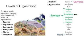 Ecology Levels Principles Organizations In Ecology Pmf Ias In 2020 Ecology Ecosystems Unit Ecosystems