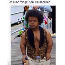 Best memes ever an internet meme is a commandeering of the first thought. Ice Cube Midget Son Son Crushed Ice Meme