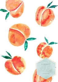 Peches Aquarelle In 2020 Watercolor Paintings For Beginners Art Painting Watercolor Fruit