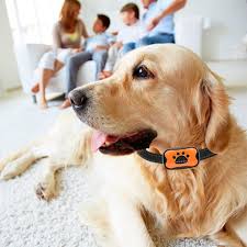 Best Bark Collars With Remote Chart Attack