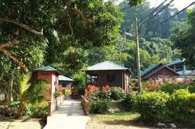Pulau tioman merupakan sebuah pulau di rompin, pahang, malaysia. Air Batang Tioman Kampung Air Batang All You Need To Know About This Lively Village