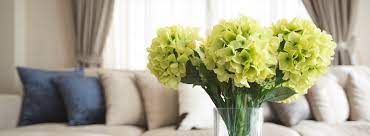 Check spelling or type a new query. 1 800 Flowers Discounts Military Id Me Shop