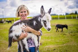 Maybe you would like to learn more about one of these? Jf Ranch Miniature Donkeys Gemini Connect