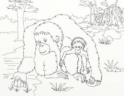 Have You Seen The New Baby Orangutan At The Phoenixzoo This Week S Coloring Page Is A Tribute See Mo Coloring Pages Baby Orangutan Whimsical Illustration