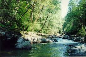 Washougal River Washington Places To Go Favorite Places Outdoor
