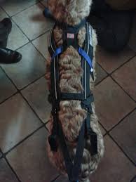 Findet man in deutschland oder bei deutschen herstellern eigentlich kaum? Zuggeschirr Von Non Stop Dogscooter Erdmann Der Alternative Scooter Laden