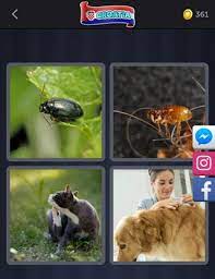 If you need previous days, please check our full list wordscapes daily puzzles. 4 Pics 1 Word Daily Puzzle July 13 2020 Daily Puzzle Answers