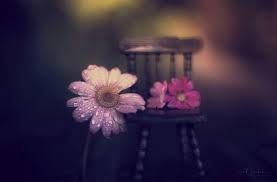 Pin By Ali علي On صور للتصميم Photos Of The Design Decor Design Still Life