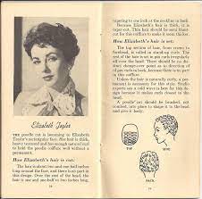 10 Hollywood Hairstyles Hollywood Hair Vintage Hairstyles Pin Curls