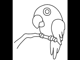 Parrots have very large beaks that take up the majority of their faces. Cute Parrot Parrot Drawing For Kids Easy Novocom Top