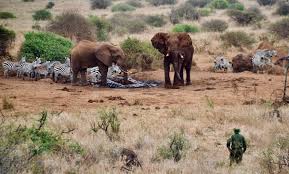 Conservancies Receive Historic Government Support Kwca