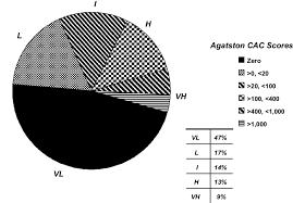 pie chart representing the distribution of coronary calcium