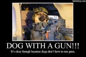 There are some names that sound great for hunting dogs. Gun Dog Quotes Quotesgram