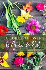 The Ten Best Edible Flowers To Grow In Your Garden Edible Flower Garden Edible Flowers Edible Flowers Recipes