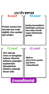 Sanal Biyoloji Adli Kullanicinin Tyt Ayt Panosundaki Pin 2020 Matematik Biyoloji Dna