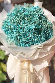 Ice Blue Baby S Breath Flower Bouquet Premium 4mua Bou Baby02 Send Flowers And Gifts To Vietnam Online Shop
