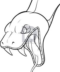 Realistic Snake Head Drawing Manga drawing snake drawing drawing heads scale drawing animal drawings animal sketches art realistic drawings cartoon drawings. realistic snake head drawing