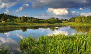 53°11′5″n 18°36′15″e / 53.18472°n 18.60417°e. The Best Available Hotels Places To Stay Near Chelmza Poland