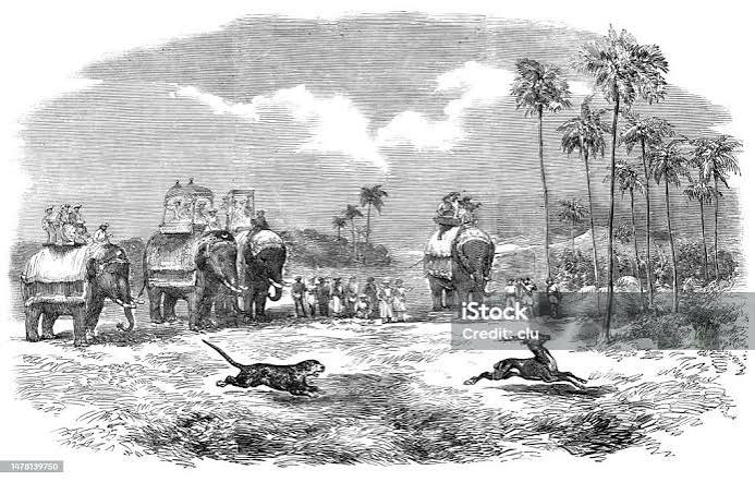 Antelope Hunting With The Leopard India Stock Illustration - Download Image Now - India, 1850-1859, 1857 - iStock