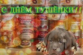 pin by mista on s dnyom happy memes funny school memes cute love memes