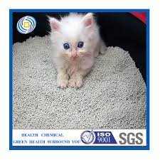 Toptan Kedi Kumu Fiyatlari