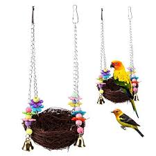 Pin On Pet Treats Health Accessories