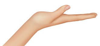 Alibaba.com offers 291,562 women hand products. Nails Clipart Woman S Hand Nails Woman S Hand Transparent Free For Download On Webstockreview 2021